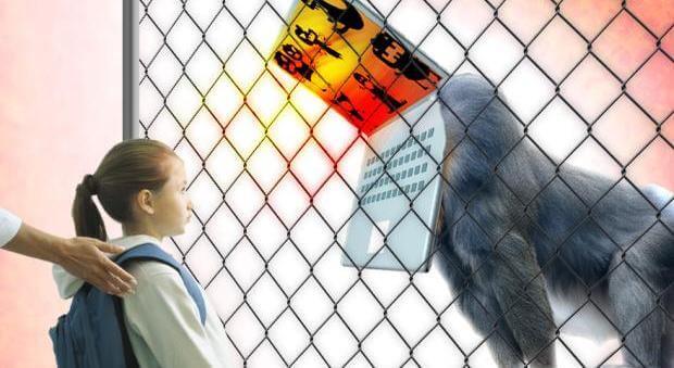 simpanssin pää on tietokone