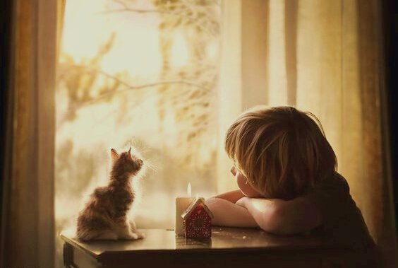 Lapsi ja kissa katsovat ikkunasta