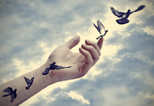 linnut lentävät miehen kädestä