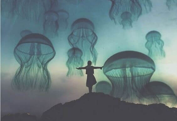 meduusat