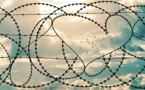 piikkilanka-aidasta muodostuu sydän