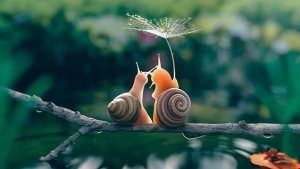 Hidas liikehdintä: mitä hitaampi, sen parempi