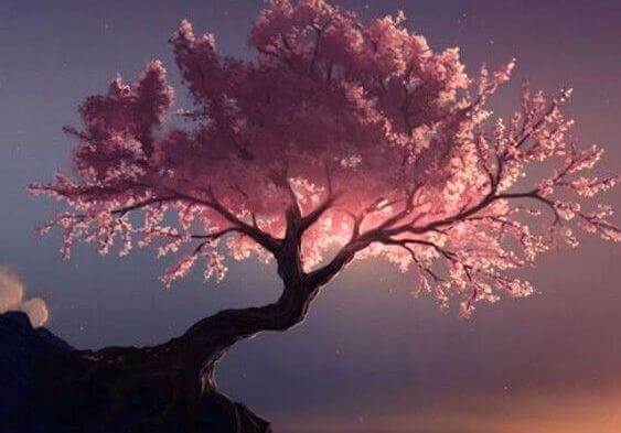 Puhdistavat puut Taon mukaan