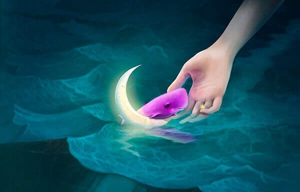 kuu ja vaaleanpunainen valas vedessä