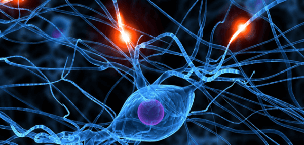neuronit