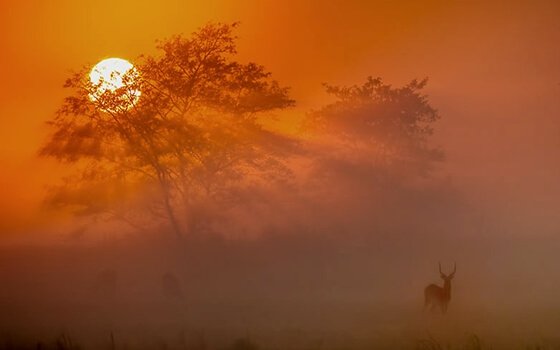 Afrikan auringonlasku