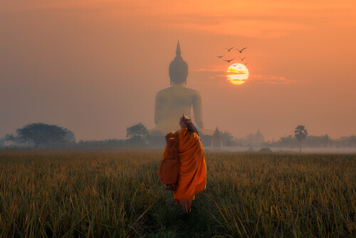 Myrkkynuoli: buddhalainen tarina nykyhetkessä elämisestä