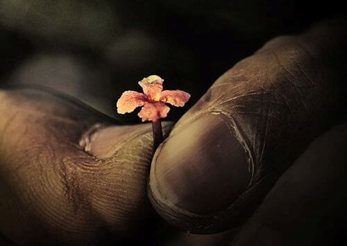 pienen pieni kukka isojen sormien välissä