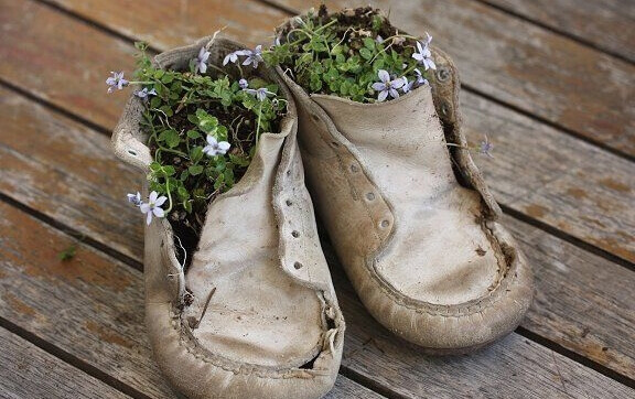 kengissä kasvaa kukkia