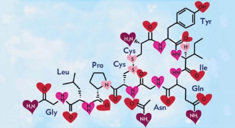rakkauden kemiallinen kaava