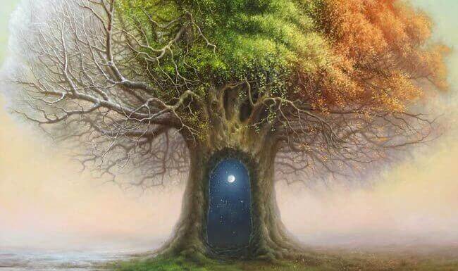 puussa on ovi avaruuteen