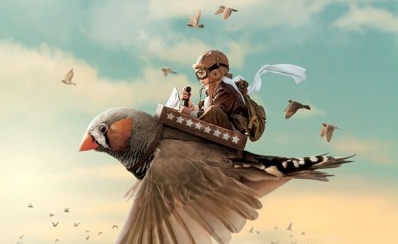 poika lentää pikkulinnun selässä