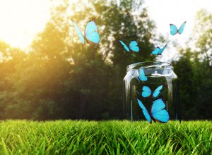 Onnellisuuspullo: miten se tehdään ja miksi se toimii