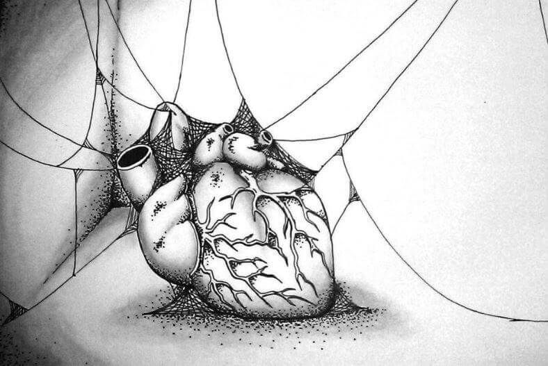 sydämessä hämähäkinseittiä