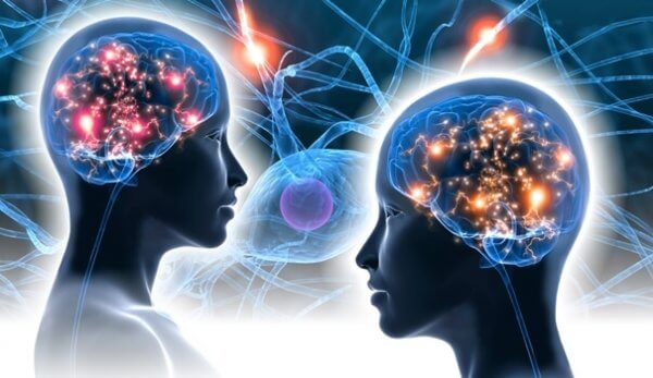 aivot ja neuronit
