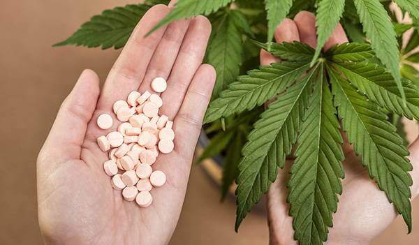 marihuana kasvina ja pillereinä