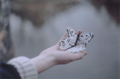 perhoset kädessä