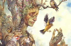 Mitä puut voivat opettaa meille onnellisuuden löytämisestä?