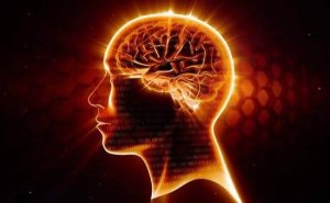 Omega-3: paras suoja hermostolle