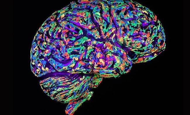 värikkäät aivot