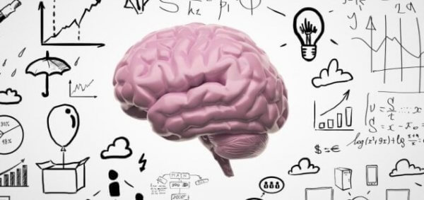 aivot ja kuinka muisti toimii