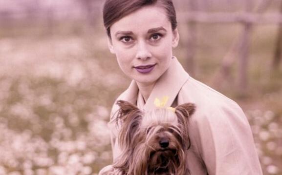 Audrey Hepburn koiran kanssa