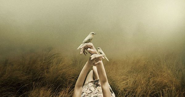 tyttö makaa maassa linnut käsissään