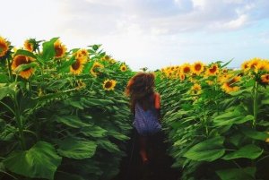 5 unohtumatonta hetkeä elämässä