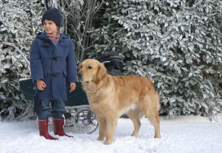 autismia käsittelevät elokuvat an unexpected friend