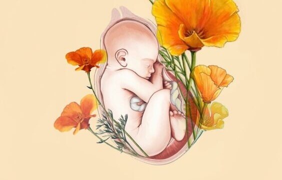 vauva kohdussa kukkien ympäröimänä