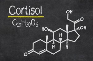 Stressihormoni kortisoli