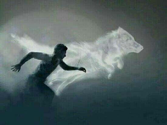 mies juoksee valkoisen suden rinnalla