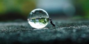 Sinnikkyys auttaa saavuttamaan unelmat