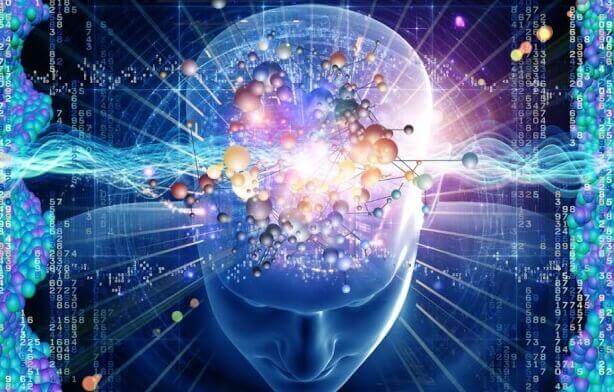 monimutkaiset aivot ja mieli