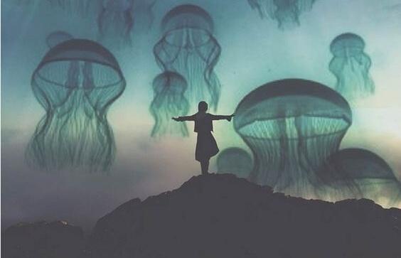 meduusat taivaalla