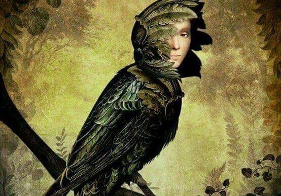 ihmispöllö: onko myönteinen mustasukkaisuus olemassa