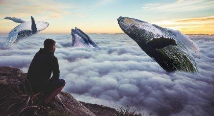 tee jotain pelottavaa kuten katsele valaiden hyppelyä taivaalla