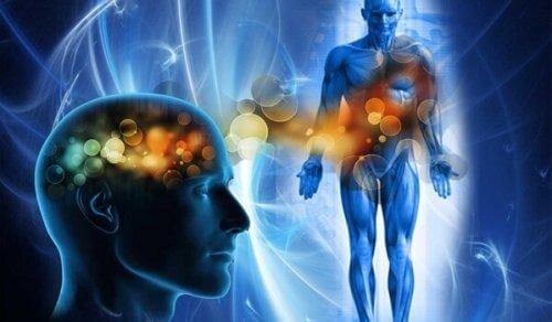 psykosomaattiset häiriöt: mieli ja keho