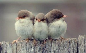 3 ystävyyden tyyppiä Aristoteleen mukaan