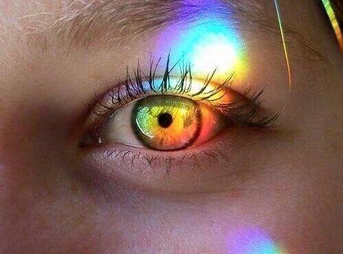 silmä ja prisma