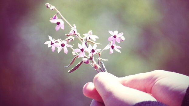 kukka kädessä