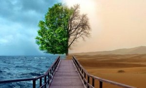 4 gestalt-terapian avainta masennuksen hoitoon