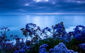 Jännitystä lieventävä väri: sininen