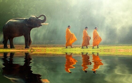 buddhalaiset munkit ja norsu