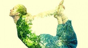 Joogaa aloittelijoille: ruumiin ja mielen yhteensovittamisen taito