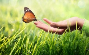 Kinesteettinen kommunikointi: miksi se on niin tärkeää?