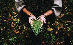 Elämän tarkoituksen löytämiseksi vaaditaan rauhaa ja kärsivällisyyttä