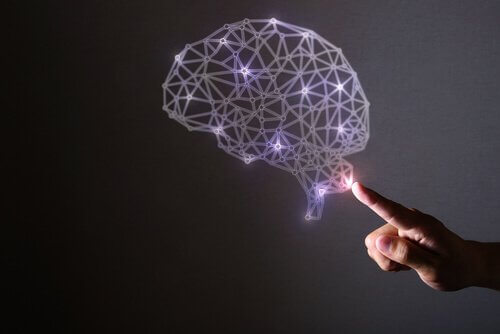 aivot ja neuro-onnellisuus