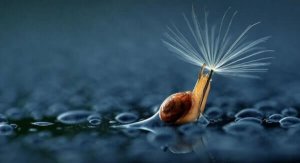 Mitä viiden minuutin hiljaisuus voi saada aivoissamme aikaan