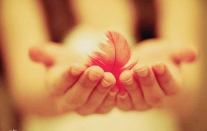 Ystävällisyys: tarpeeksi vahva murtamaan minkä vain muurin